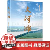 大河滩 张树国 著 现代/当代文学文学 正版图书籍 安徽文艺出版社