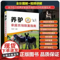 养驴家庭农场致富指南 肖冠华主编9787122424990 养驴技术驴场建设优良驴品种选择 驴场日常饲养管理 专业养驴户