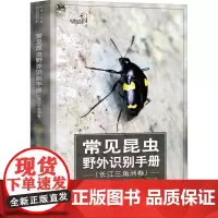 常见昆虫野外识别手册(长江三角洲卷) 大城小虫工作室 编 科普读物/自然科学/技术类原版书专业科技 正版图书籍