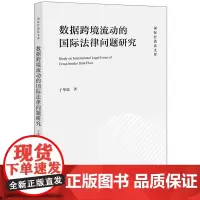 数据跨境流动的国际法律问题研究 于华溢著 法律出版社