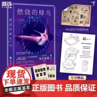 燃烧的蜂鸟.迷案1985 法医秦明十周年诚意之作 全新复古悬疑系列 据父亲从警36年刑侦改编 人世间般动人 推理悬疑磨铁