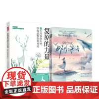 心理复原力:复原的力量+穿过内心那片深海(套装2册)