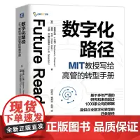 数字化路径:MIT教授写给高管的转型手册