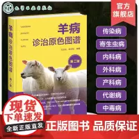 羊病诊治原色图谱 第二版 羊病防治综合工具书图文详解 羊病特征诊断技术 类似羊病相互鉴别诊断技术 羊病治疗方法用药技术