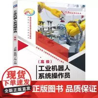 工业机器人系统操作员:高级