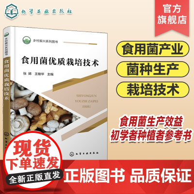 乡村振兴系列图书 食用菌优质栽培技术 一本就懂食用菌栽培技术 食用菌产业 菌种生产 常见食用菌优质栽培技术 菌种生产者参