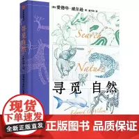 寻觅自然 从野性到人性,一位博物学家的沉思集 (美)爱德华·威尔逊 著 童可依 译 宗教理论专业科技 正版图书籍