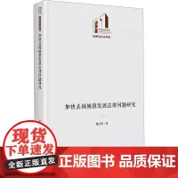 加快县域城镇发展法律问题研究 董玉明 著 世界政治社科 正版图书籍 光明日报出版社
