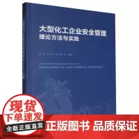 大型化工企业安全管理理论方法与实践