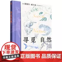 [正版]寻觅自然:从野性到人性,一位博物学家的沉思集 爱德华·威尔逊 中信出版社 9787521766431
