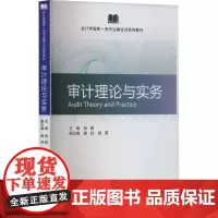 审计理论与实务 孙阳,崔丹,姬霖 编 统计 审计经管、励志 正版图书籍 经济科学出版社
