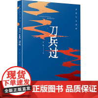 刀兵过 老藤 著 现代/当代文学文学 正版图书籍 安徽文艺出版社