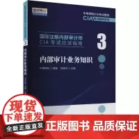 内部审计业务知识 邱银河 编 统计 审计经管、励志 正版图书籍 中国财政经济出版社