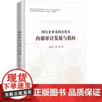 国有企业及国有资本内部审计发展与趋向 袁亮亮,陈桥 著 统计 审计经管、励志 正版图书籍 广东经济出版社