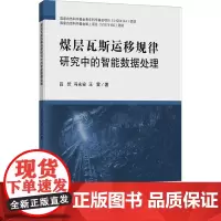 煤层瓦斯运移规律研究中的智能数据处理 吕伏,冯永安,王雷 著 大学教材大中专 正版图书籍 中国矿业大学出版社