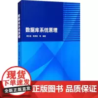 数据库系统原理 周志逵 等 编 大学教材大中专 正版图书籍 清华大学出版社