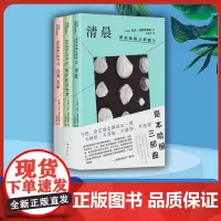 哥本哈根三部曲(全3册)清晨 所有明亮的梦 白昼坠落 丹