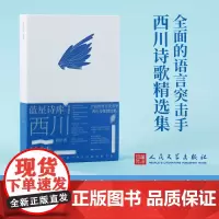 西川的诗 西川 著 中国现当代诗歌文学 正版图书籍 人民文学出版社