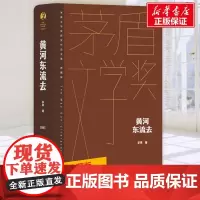 黄河东流去 李準 著 现代/当代文学文学 正版图书籍 人民文学出版社
