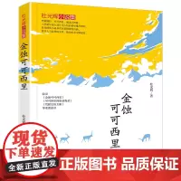 金蚀可可西里 杜光辉 著 现代/当代文学文学 正版图书籍 民主与建设出版社