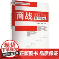 商战实践平台指导教程 何晓岚,金晖 编 大学教材大中专 正版图书籍 清华大学出版社