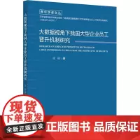 大数据视角下我国大型企业员工晋升机制研究 张昶 著 大学教材大中专 正版图书籍 北京邮电大学出版社