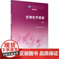 生物化学基础 第4版 王春梅,张文利 编 大学教材大中专 正版图书籍 人民卫生出版社