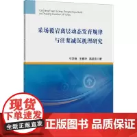 采场覆岩离层动态发育规律与注浆减沉机理研究 牛学良,王素华,高延法 著 大学教材大中专 正版图书籍 中国矿业大学出版社