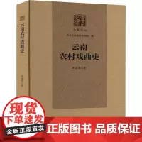 云南农村戏曲史 徐嘉瑞 著 舞蹈(新)艺术 正版图书籍 云南人民出版社