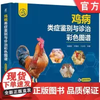 正版 鸡病类症鉴别与诊治彩色图谱 刘建柱 牛绪东 丁庆华 9787111760603 机械工业出版社