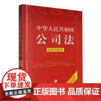 中华人民共和国公司法:实用问题版