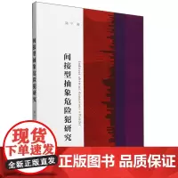 间接型抽象危险犯研究
