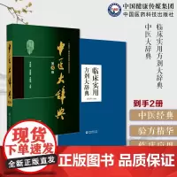临床实用方剂大辞典临床实用中医方剂工具书古今有效方剂用法功用主治加减方论中医大辞典第三版李经纬中医学词典中药学方剂大词典