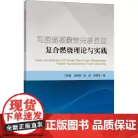 可控温核聚变光核反应复合燃烧理论与实践 丁恩振 等 著 大学教材大中专 正版图书籍 中国矿业大学出版社