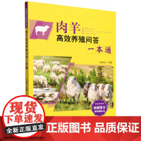 [正版]肉羊高效养殖问答一本通 马友记 中国农业出版社 9787109317536