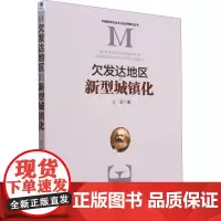 欠发达地区的新型城镇化 王荣 著 经济理论经管、励志 正版图书籍 经济管理出版社