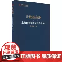 开放新高地 上海自贸试验区提升战略 杨连星 著 经济理论经管、励志 正版图书籍 上海人民出版社