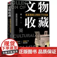 文物收藏 纵览镌刻文明的千年印迹 葛凤 著 文物/考古社科 正版图书籍 台海出版社