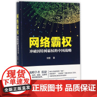 网络霸权 冲破因特网霸权的中国战略 跨越网络经济通信法律等多个领域揭示实质 信息争夺经济角逐主权博弈经济理论书籍正版