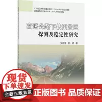 高速公路下伏采空区探测及稳定性研究 张淑坤,陆璐 著 大学教材大中专 正版图书籍 中国矿业大学出版社
