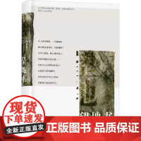 望地书 冉冉 著 中国现当代诗歌文学 正版图书籍 春风文艺出版社