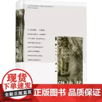 望地书 冉冉 著 中国现当代诗歌文学 正版图书籍 春风文艺出版社