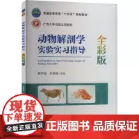 动物解剖学实验实习指导 全彩版 黎宗强,苏接瑜 编 大学教材大中专 正版图书籍 中国农业大学出版社