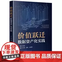 价值跃迁 数据资产化实践 尚进主编 田强 胡杨 夏珺峥副主编 法律出版社