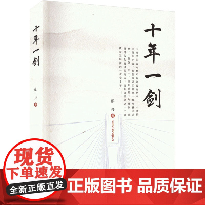 十年一剑 张兴 著 中国现当代诗歌文学 正版图书籍 贵州人民出版社