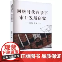 网络时代背景下审计发展研究 刘洪涛 著 统计 审计经管、励志 正版图书籍 中国商务出版社