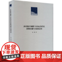 乡村振兴视野下农民合作社多维功能与发展定位 高强 著 经济理论经管、励志 正版图书籍 人民日报出版社