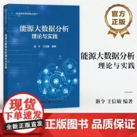 店 能源大数据分析理论与实践 能源数智管理精品教材 能源大数据应用实践书籍 渐令 王信敏 编著 电子工业出版社