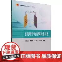 水处理中的高级氧化技术 韩卫清 等 编 大学教材大中专 正版图书籍 北京航空航天大学出版社