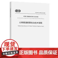 公路隧道病害处治技术规程(T/CECS G:M72-02—2024)